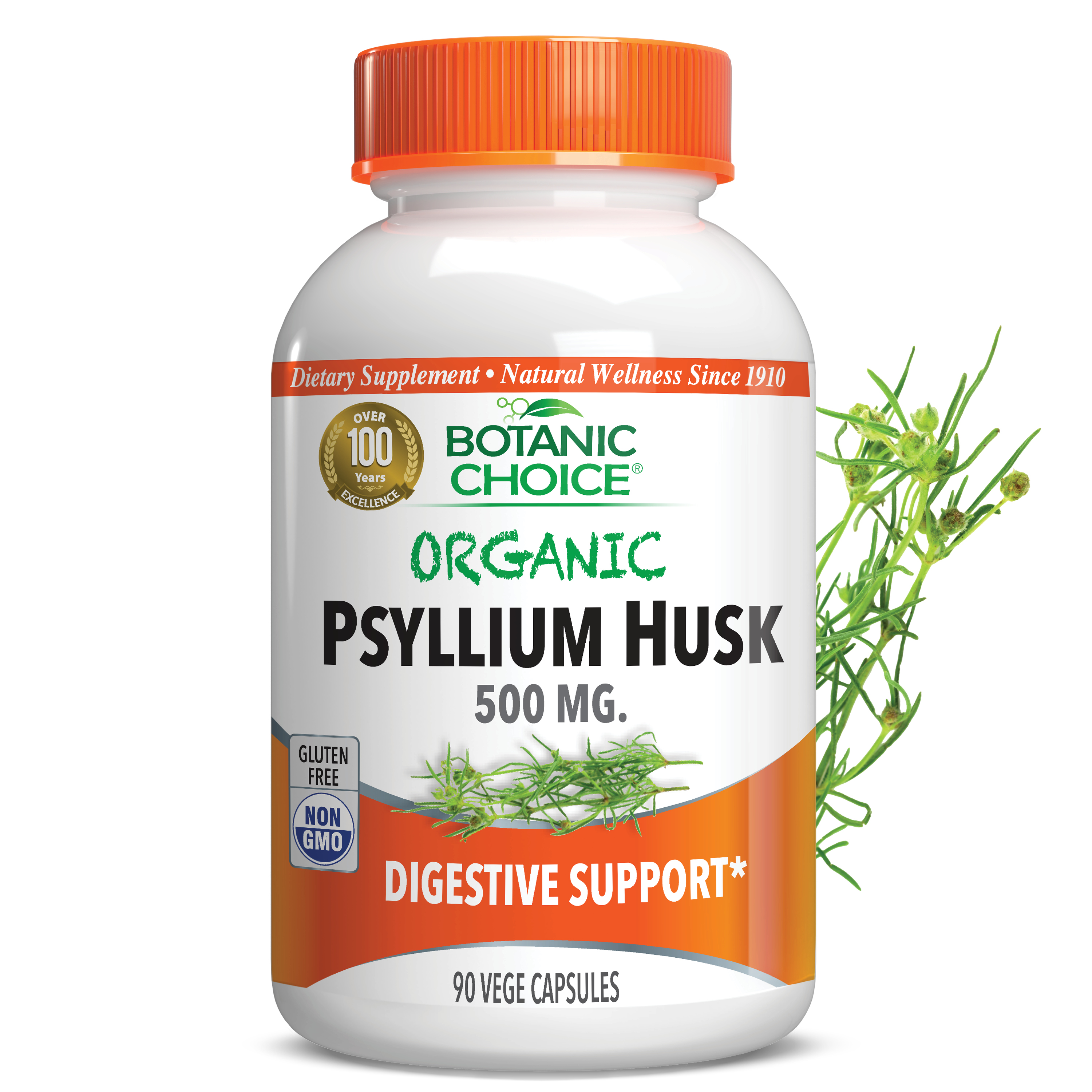 Organic Psyllium Husk - 90 Ct