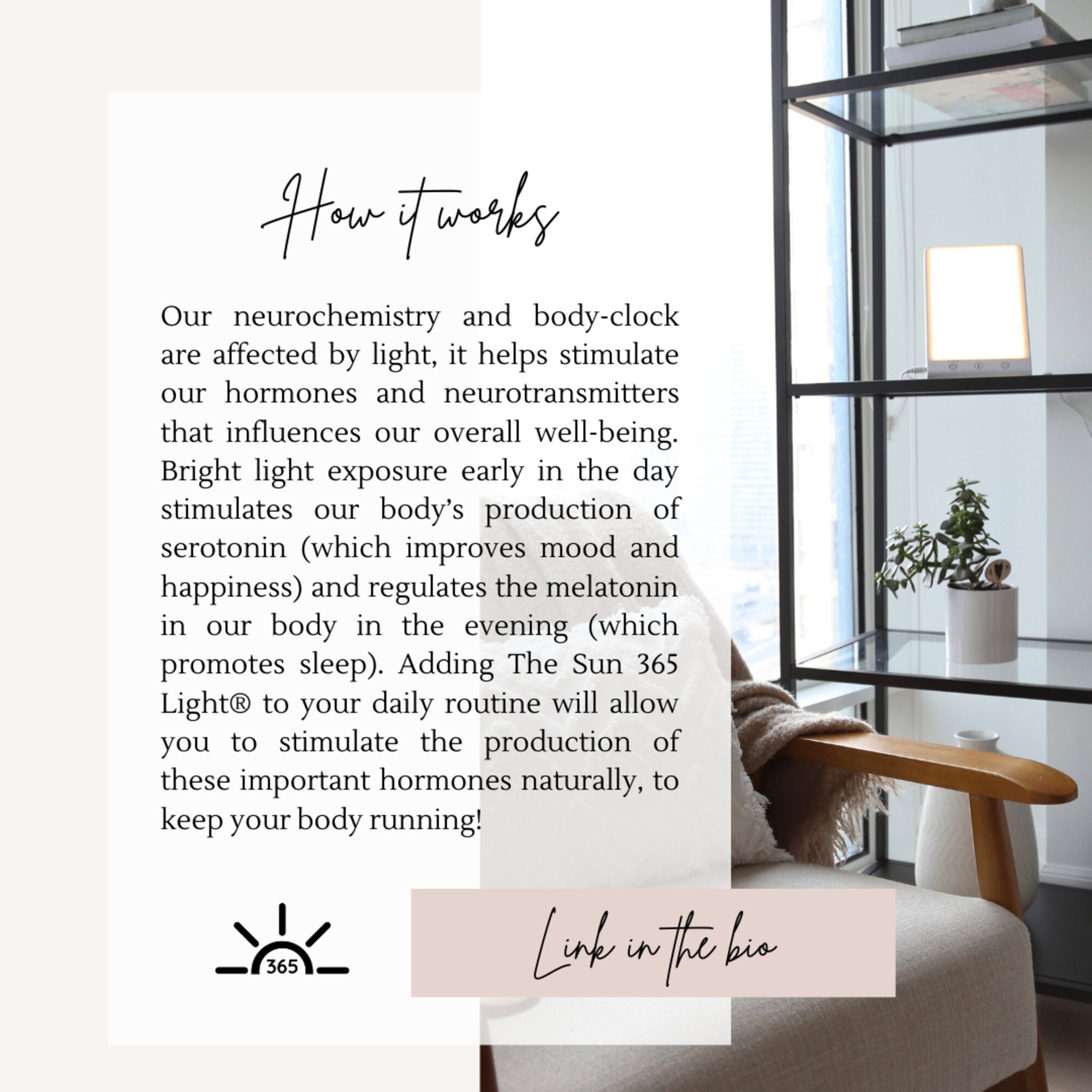The Sun 365 Light Therapy Lamp in White